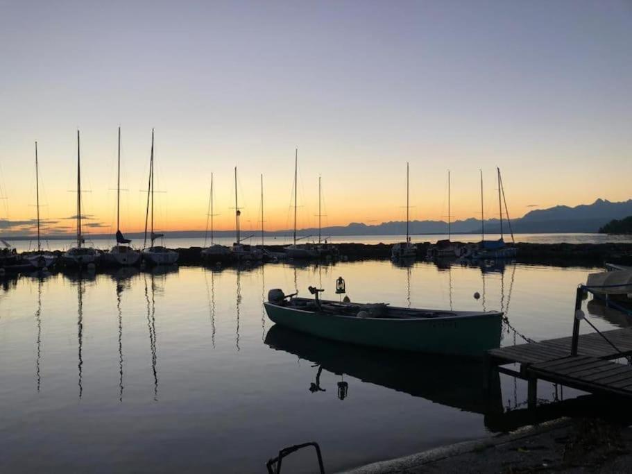Villa Moderne, A 2 Pas Du Lac Leman シエ エクステリア 写真